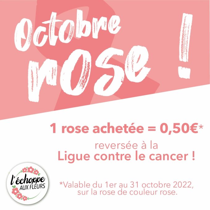 Octobre rose photo 1